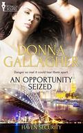 An Opportunity Seized (Haven Security #1) by Donna Gallagher