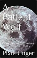 A Patient Wolf (The Practicalities of Werewolves in a Modern Age #2) by Pixie Unger