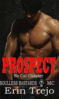 Prospect by Erin Trejo