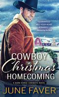 Cowboy Christmas Homecoming (Dark Horse Cowboys #4) by June Faver