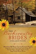 The Backcountry Brides Collection: Eight 18th Century Women Seek Love on Colonial America's Frontier by Debra E. Marvin
