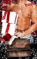 Nick (The Kringle Boys #1) by Lily Rede