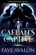 Caelan's Captive by Faye Avalon