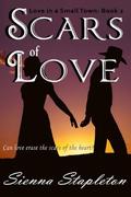 Scars of Love (Love in a Small Town #2) by Sienna Stapleton