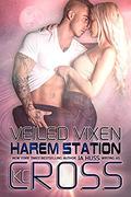 Veiled Vixen by J.A. Huss