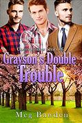 Grayson's Double Trouble (Cherry Hollow #6) by Meg Bawden