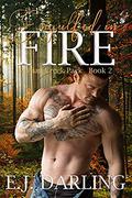 Engulfed in Fire (Bestian Creek Pack #2) by E.J. Darling
