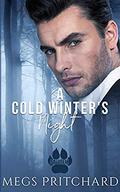 A Cold Winter's Night (Salutem #3) by JC Clarke