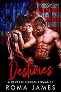 Destinies: A Reverse Harem Romance (Power of Love #3) by Jacqueline Sweet