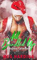 All Bundled Up: A Holiday Collection by Meg Harding
