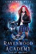 Wolf Moon (Ravenwood Academy #1) by Lena Mae Hill