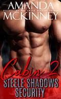 Cabin 2 by Amanda McKinney