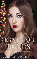 Igniting Bonds (The Anomaly Series Companion Novella #1) by Aster North