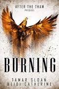 Burning (After The Thaw #0.5) by Heidi Catherine