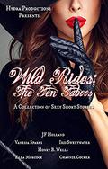 Wild Rides: The Ten Taboos: A Collection of Sexy Short Stories by Ella Morcock