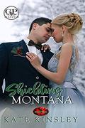 Shielding Montana (Brotherhood Protectors World) by Kate Kinsley
