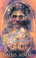 Spell For A Scoundrel (Mad Magic #1) by Dallis Adams