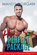 His Perfect Package (A Very Curvy Christmas #3) by Mandy Morgan