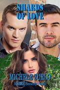 Shards of Love  ) (A SAFE Security Trilogy  (Jesse and Jessica #3) by Michele Zurlo