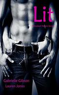 Lit (Wrecked Hearts #1) by Gabrielle Gibson