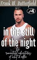 In the Still of the Night (The Romantical Adventures of Whit & Eddie #4) by Frank W. Butterfield