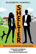 Shelter  (Bridging Divides) by Elizabeth Harwell