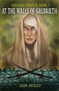 At the Walls of Galbrieth (Wycaan Master #1) by Alon Shalev