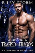 Trapped by the Dragon by Riley Storm