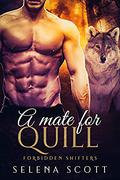 A Mate for Quill (Forbidden Shifters #6) by Selena Scott