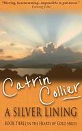 A Silver Lining by Catrin Collier