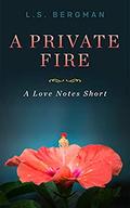 A Private Fire (Love Notes #5) by L.S. Bergman