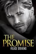 The Promise by Felice Stevens