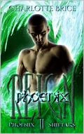 Phoenix Reign by Charlotte Brice