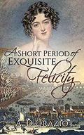 A Short Period of Exquisite Felicity by Amy D'Orazio