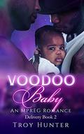 Voodoo Baby (Special Delivery #2) by Troy Hunter