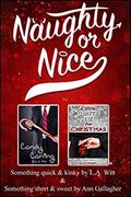 Naughty or Nice by Ann Gallagher