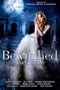 The BEWITCHED Box Set by Irene Kueh