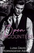 Open Encounters (Kink Chronicles #2) by Morningstar Ashley