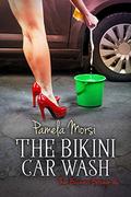Bikini Carwash (That Business Between Us #6) by Pamela Morsi