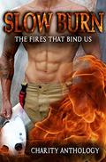 Slow Burn: The Fires That Bind Us by Neen Cohen