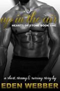 Up In the Air: A Millionaire CEO & Single Mom Romance Novella (Hearts of Stone #1) by Eden Webber