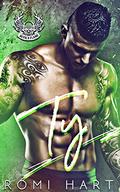 Ty (Devil's Flame MC #6) by Romi Hart