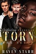 Torn: The Setup by Raven Starr