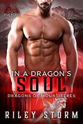 In a Dragon's Soul by Riley Storm