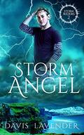 Storm Angel (Storm Riders 2): Gay Harem Paranormal Romance (M/M/M/M) by Davis Lavender
