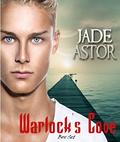 Warlock's Cove: Box Set by Jade Astor