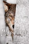 Wanderer: A First Chance At Love Bonus Chapter by T. Lanay
