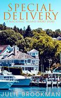 Special Delivery : a clean BBW short story (Mackinac Island Romance #2) by Julie Brookman