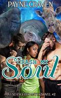 Crash My Soul by Payne Craven