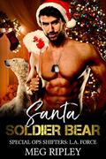 Santa Soldier Bear by Meg Ripley